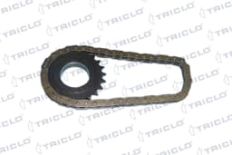 425869 TRICLO Juego, cadena, bomba de aceite original y equivalente