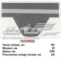 162S8M20 MITSUBOSHI Correa distribución original y equivalente