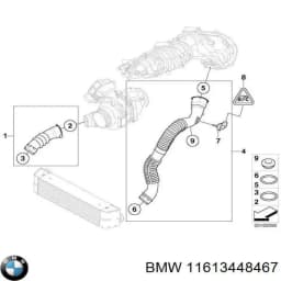 11613448467 BMW Tubo flexible de aire de sobrealimentación izquierdo original y equivalente