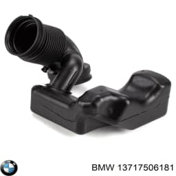 13717506181 BMW Resonador, filtro de aire original y equivalente