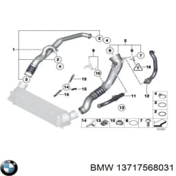 13717568031 BMW Junta tórica para tubo intercooler original y equivalente