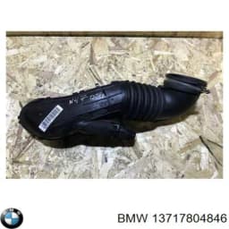 13717804846 BMW Manguito, alimentación de aire original y equivalente