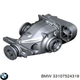 33107524319 BMW Diferencial eje trasero original y equivalente