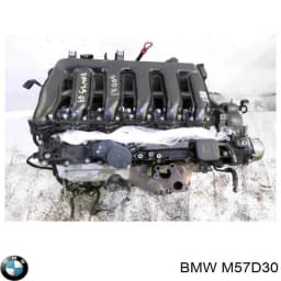 M57D30 BMW Motor completo original y equivalente