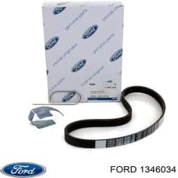 1346034 FORD Correa trapezoidal original y equivalente