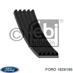 1829195 FORD Correa de transmisión original y equivalente