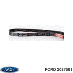 2087581 FORD Correa trapezoidal original y equivalente
