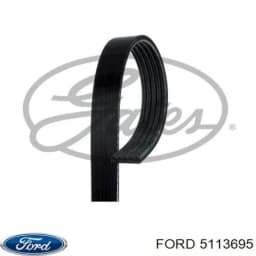 5113695 FORD Correa de accesorios original y equivalente