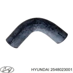 2548023001 HYUNDAI Tubo de refrigeración, termostato original y equivalente