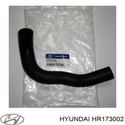 HR173002 HYUNDAI Manguera refrigerante para radiador inferiora original y equivalente