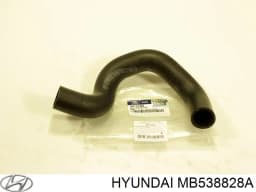 MB538828A HYUNDAI Manguera refrigerante para radiador inferiora original y equivalente