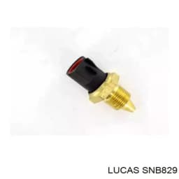 SPA160 MAGNETI MARELLI Sensor de temperatura original y equivalente