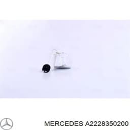 A2228350200 MERCEDES Filtro deshidratador original y equivalente