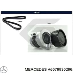 7711946465 RENAULT Correa de transmisión original y equivalente