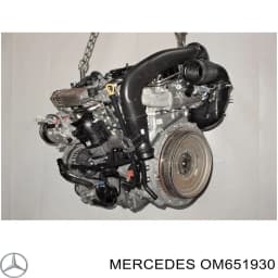 OM651930 MERCEDES Motor completo original y equivalente