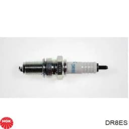 DR8ES NGK Bujía original y equivalente