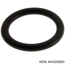 AH2205E0 NOK Anillo retén de semieje, eje trasero, interior original y equivalente