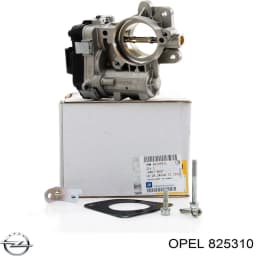 825310 OPEL Cuerpo de mariposa original y equivalente