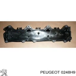 0248H9 PEUGEOT Tapa De Valvula Derecha original y equivalente