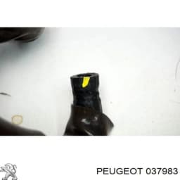 037983 PEUGEOT Válvula escape original y equivalente
