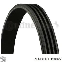 8660004973 RENAULT Correa trapezoidal original y equivalente