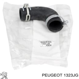 1323JG PEUGEOT Tubo de refrigeración, termostato original y equivalente