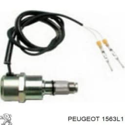 1563L1 PEUGEOT Corte, inyección combustible original y equivalente