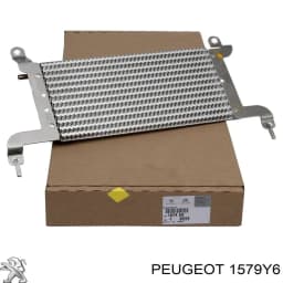 1579Y6 PEUGEOT Sensor, temperatura combustible original y equivalente