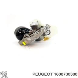 1608730380 PEUGEOT Bomba De Aceite Transmision original y equivalente