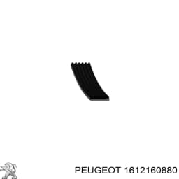 1612160880 PEUGEOT Correa de accesorios original y equivalente