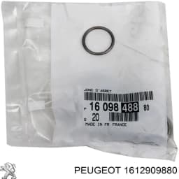 1612909880 PEUGEOT Actuador de embrague original y equivalente