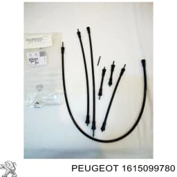 1615099780 PEUGEOT Líquido de dirección original y equivalente