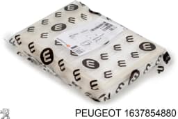 1637854880 PEUGEOT Liquido refrigerante original y equivalente