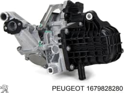 1679828280 PEUGEOT EGR original y equivalente