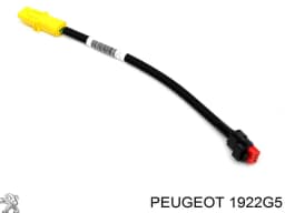 1922G5 PEUGEOT Cable del sensor de presión de combustible del riel original y equivalente