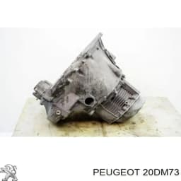 20DM73 PEUGEOT Caja de cambios original y equivalente