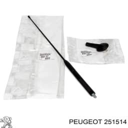251514 PEUGEOT Anillo Reten Palanca selectora, Caja De Cambios original y equivalente