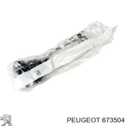 673504 PEUGEOT Cabrestante de rueda de repuesto original y equivalente
