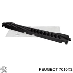 7010X3 PEUGEOT Listón de acceso exterior derecho original y equivalente