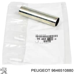 9646510880 PEUGEOT Kit de reparación del inyector original y equivalente