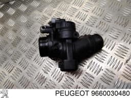 9660030480 PEUGEOT Cuerpo de mariposa original y equivalente
