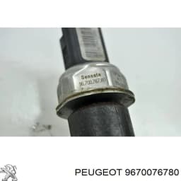 9670076780 PEUGEOT Sensor de presión de combustible original y equivalente
