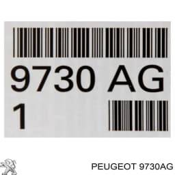 9730AG PEUGEOT Aceite caja de cambios original y equivalente