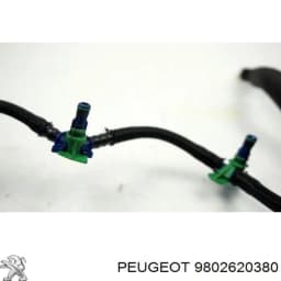 9802620380 PEUGEOT Tubo De Combustible Atras De Las Boquillas original y equivalente