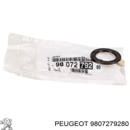 9807279280 PEUGEOT Junta, Filtro hollín/partículas, sistema escape, delantera original y equivalente