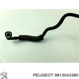 9813043380 PEUGEOT Sensor de presión de combustible original y equivalente