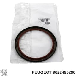 9822498280 PEUGEOT Anillo retén de semieje, eje delantero, izquierdo original y equivalente