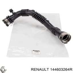 144603264R RENAULT Tubo flexible de aire de sobrealimentación derecho original y equivalente