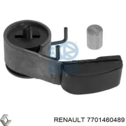 7701460489 RENAULT Tensor, cadena de distribución original y equivalente