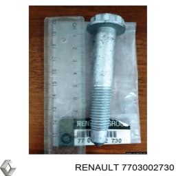 7703002730 RENAULT Tornillo de montaje, Amortiguador Delantero original y equivalente
